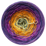 Ombreccino swirl lemon, orange, thistle,
purple, lupine + midnight blue