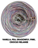 5 ply Ombreccino melange vanilla, pea, dragonfly, pink, crocus